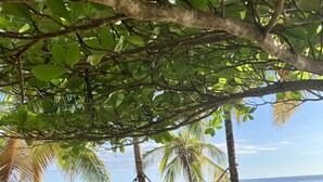 A beach scene with a hammock, palm trees, and a stone bench. - Experience the jungle of Costa Rica!! Direct oceanfront property for 8 guests. (Puntarenas)