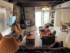 TV connectée, cheminée, lecteur de DVD, livres