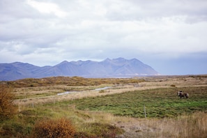A mountainous landscape with a grassy field and a few animals.