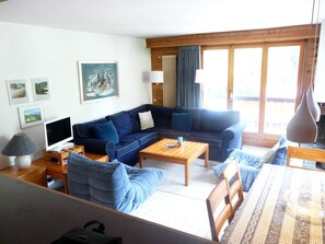 TV, fireplace, DVD player, books