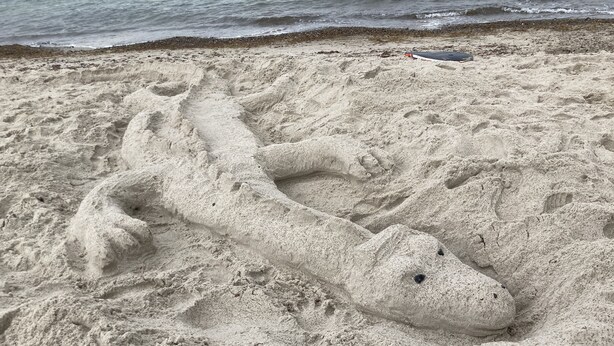 Een zandsculptuur van een zeedier op het strand.