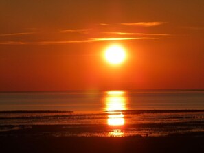 ビーチの近く、サンラウンジャー