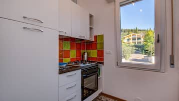 Fridge, oven, stovetop, dishwasher