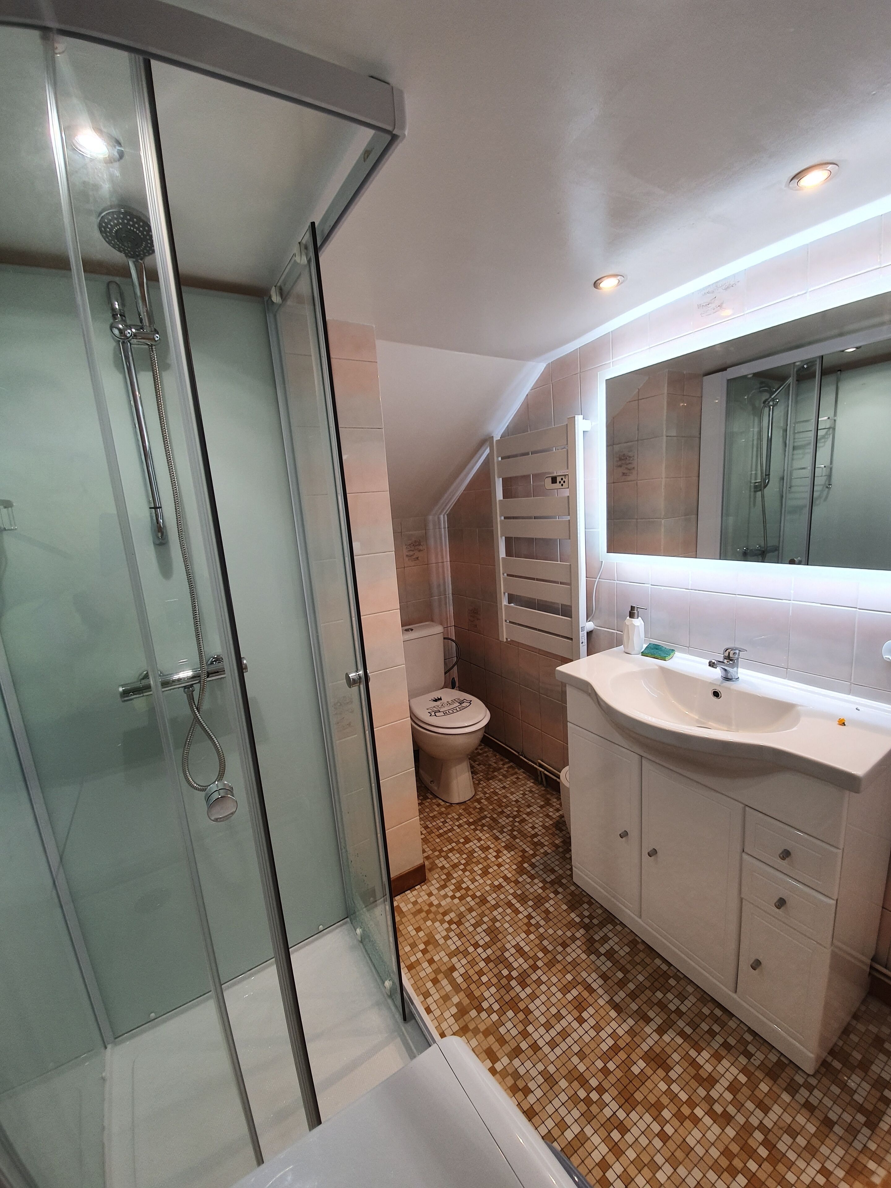 Een douche, een haardroger, zeep, toiletpapier