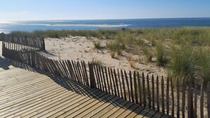 Pasarela de madera que conduce a una playa con dunas de arena y un cielo azul despejado.