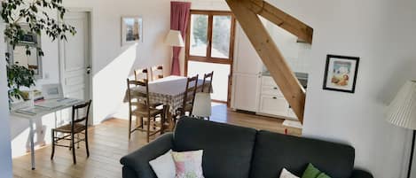 Televisio, takka, pöytätennispöytä, kirjoja