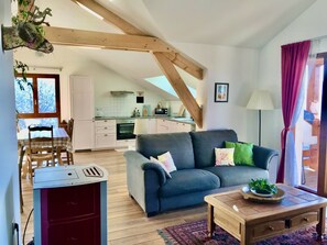 Télévision, cheminée, table de tennis de table, livres