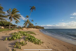 Plage, chaises longues, serviettes de plage
