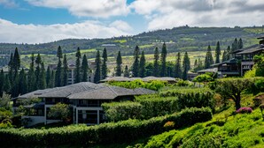 A hillside residential area with multiple houses, surrounded by lush greenery and trees. - Dramatic Ocean Views - Fantastic Location - REDUCED RATES! (Kapalua)