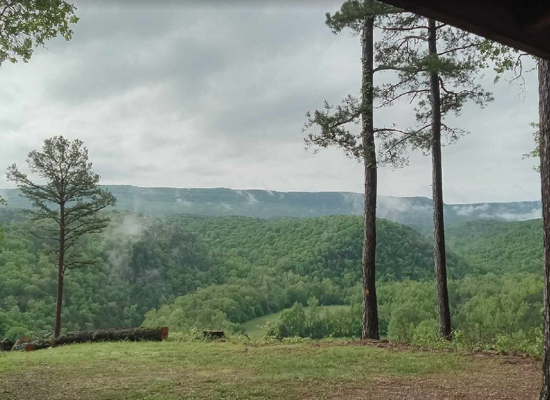 Un paisaje boscoso con vistas a colinas distantes.