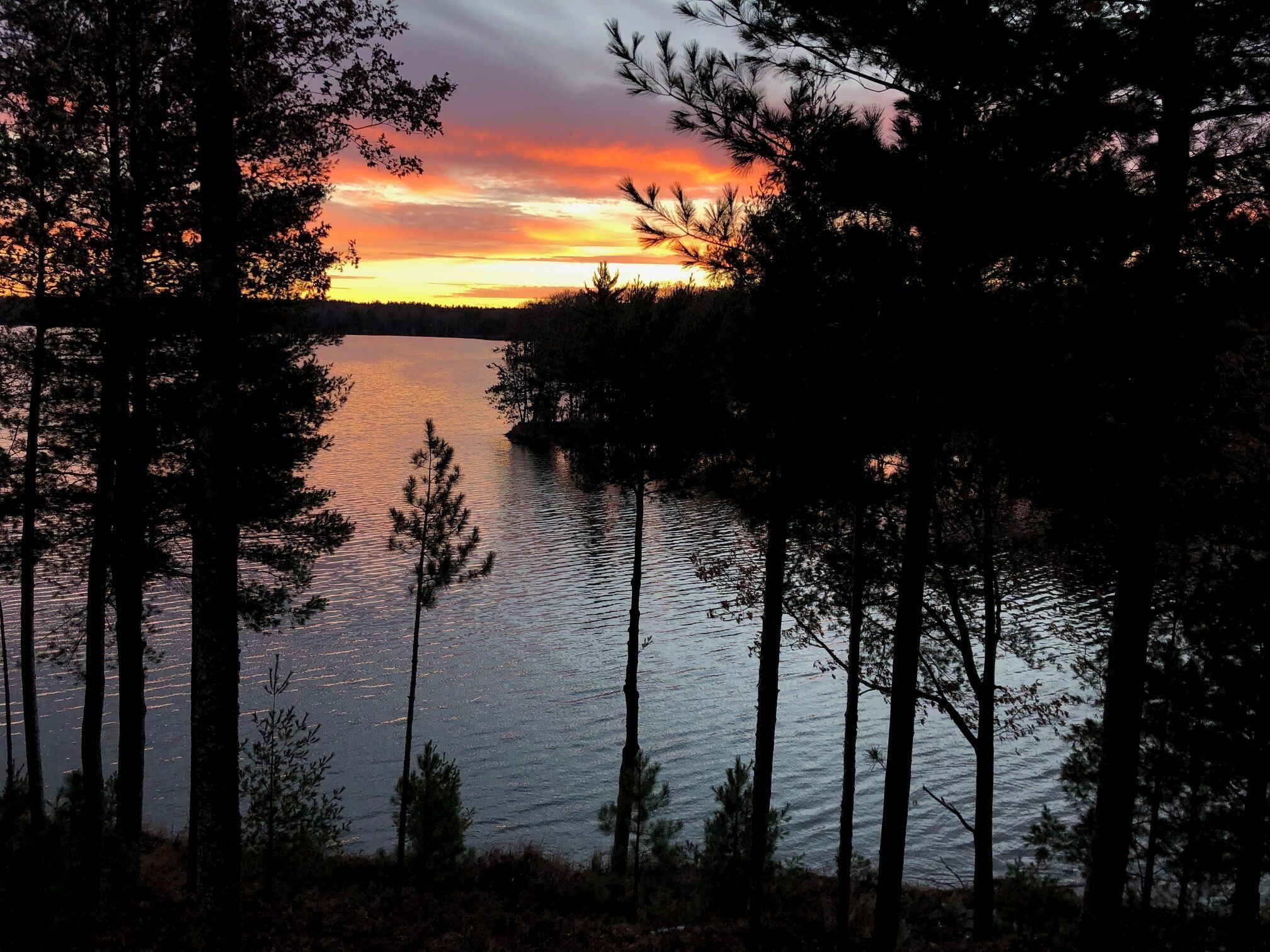Um lago tranquilo ao pôr do sol, com árvores emoldurando a paisagem.