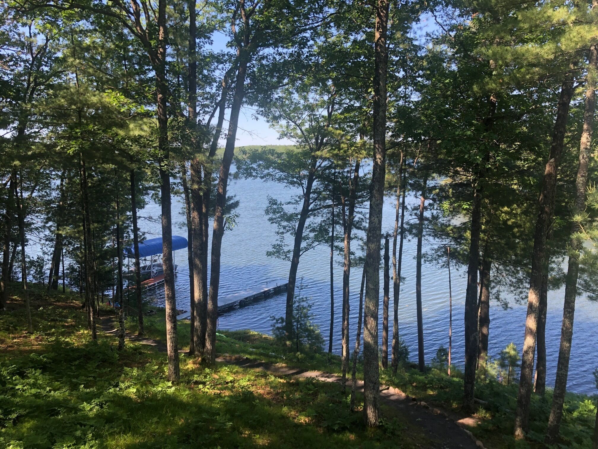 A forested area with a dock extending into a calm lake.