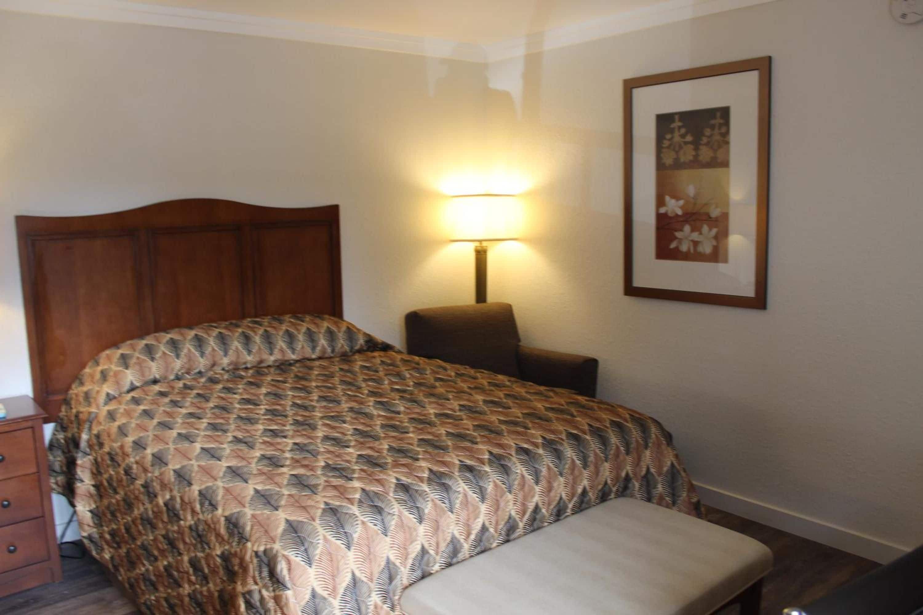 Een slaapkamer met een bed, een nachtkastje, een lamp en een ingelijst schilderij aan de muur.