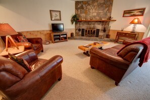 Televisión, chimenea, reproductor de DVD y libros 