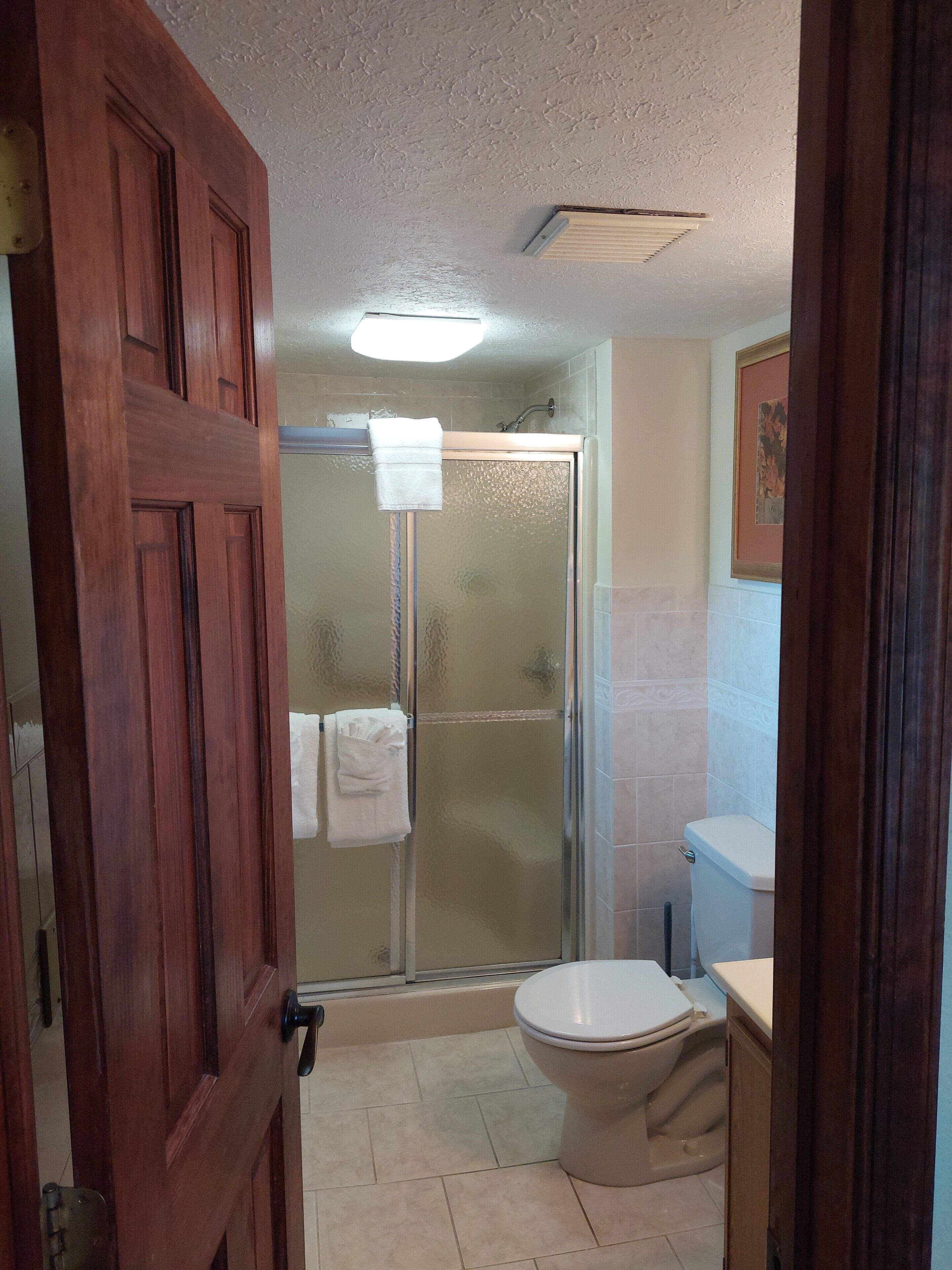 Un baño con cabina de ducha de vidrio, inodoro y puerta de madera.