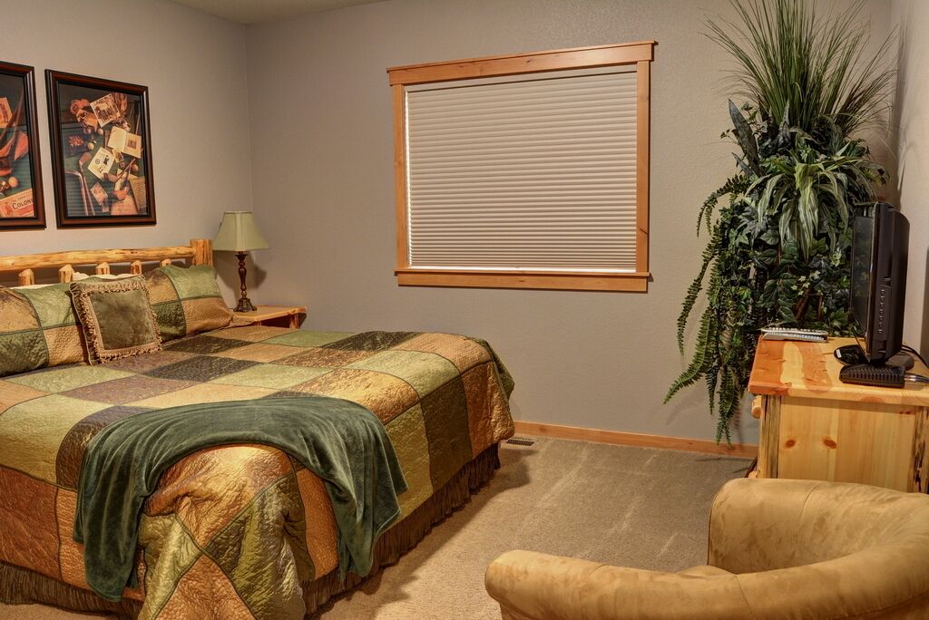 Une chambre avec un grand lit, une tête de lit en bois, une table de chevet avec une lampe, un téléviseur posé sur un meuble en bois et une grande plante en pot.