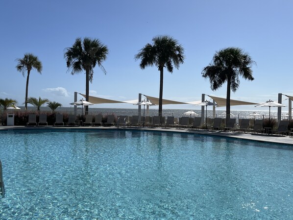 A swimming pool with lounge chairs and umbrellas, surrounded by palm trees.