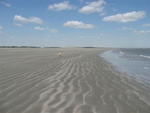 Beach nearby - A+Coastal Escape: Beach, Golf, Tennis Club Access Available (Seabrook Island)