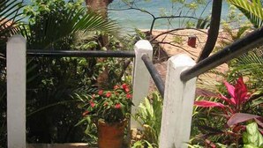 Un escalier menant à un balcon d’où l’on peut admirer la mer, le tout entouré de plantes tropicales.