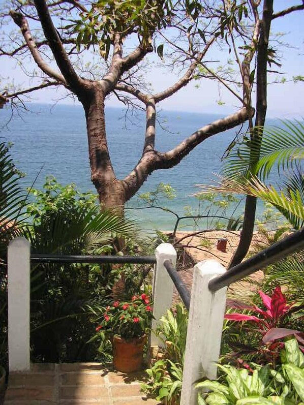 A staircase leading to a balcony with a view of the sea, surrounded by tropical plants.