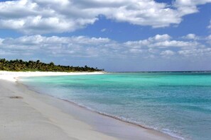 Beach nearby, sun loungers, beach towels