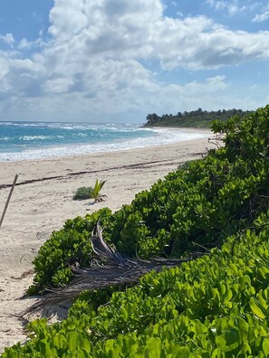 Beach nearby, sun loungers, beach towels