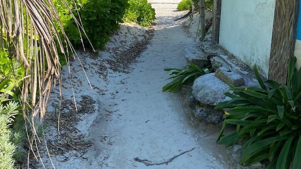 Un étroit sentier sablonneux menant à une plage, bordé d’une végétation luxuriante et d’une construction au toit de chaume.