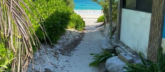 Casa De Las Joyas...Sweet Casita Near Xcacel Beach: Newly remodeled late 2023!