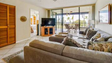 Smart TV, DVD player, books, music library