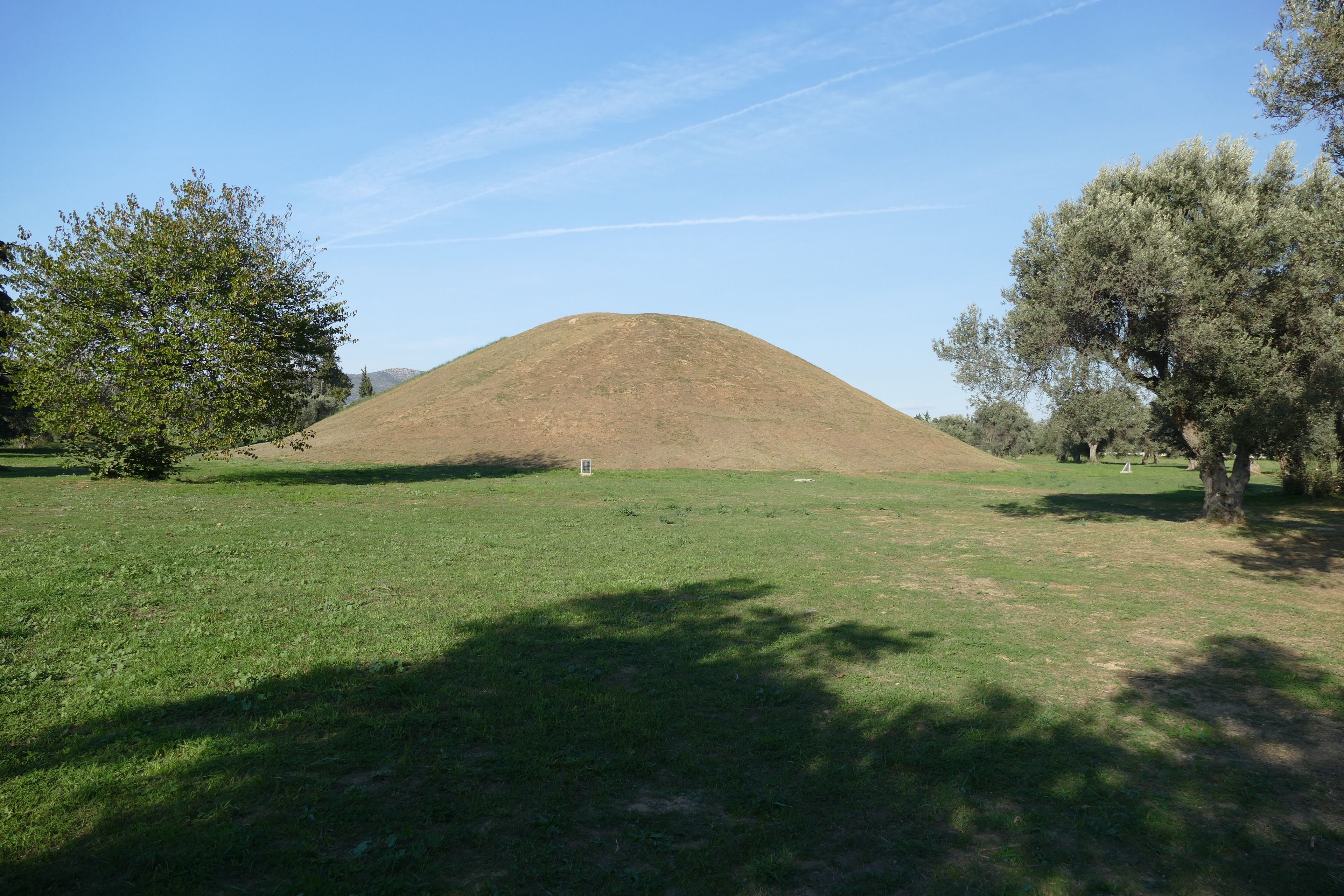 A grassy field with a mound in the center, surrounded by trees.