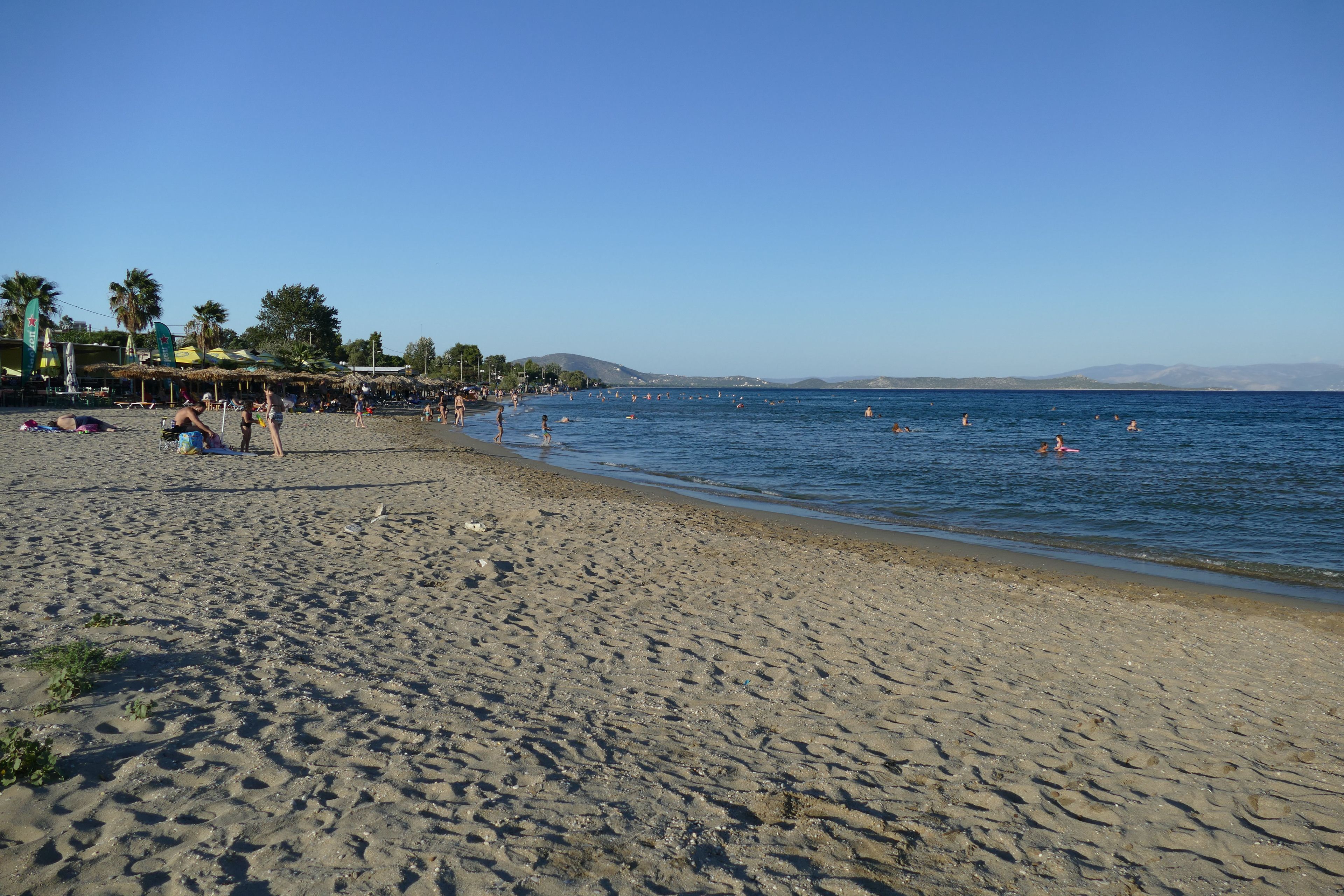 A beach with people swimming and sunbathing.
