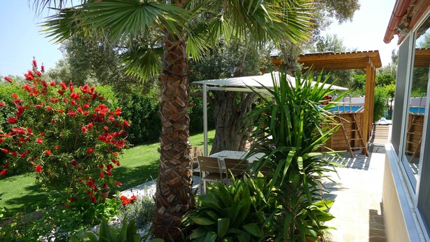 A garden with a palm tree, red flowers, and a pergola with a table and chairs. - esperides holidays (Marathon)