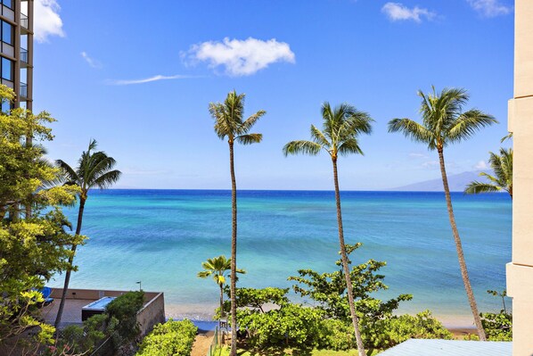 Vista de la playa con palmeras y cielo despejado.