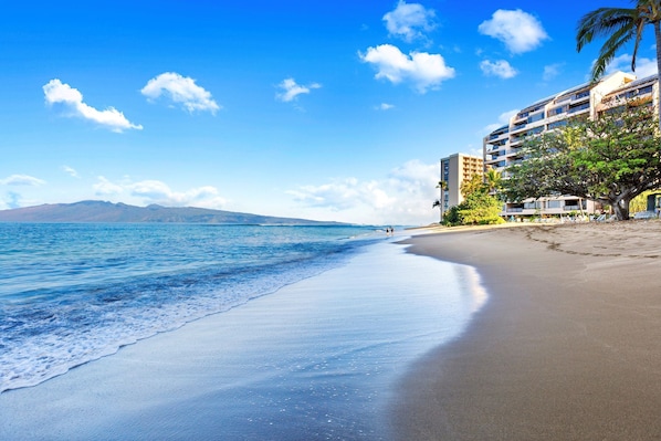 Une plage offrant une vue dégagée sur l’océan, une rive sablonneuse et un bâtiment moderne doté de balcons donnant sur la plage.