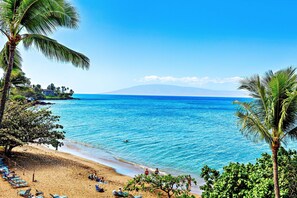 Uma praia com águas azul-claras, palmeiras e uma montanha ao longe.