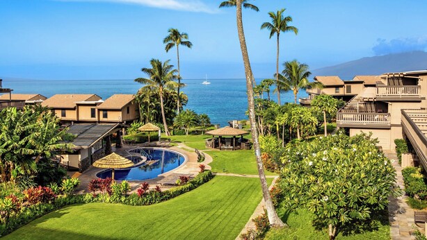 Un resort con piscina, palmeras y vistas al océano.