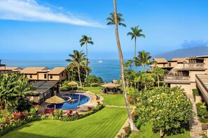 Un resort con piscina, palmeras y vistas al océano.