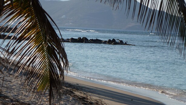 A beach with a rocky shoreline, palm trees, and a mountain in the background. - Home-styled cottage on Nevis with spectacular views of the Caribbean Sea  (Nevis)