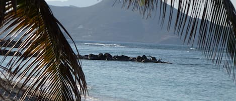 Beach/ocean view