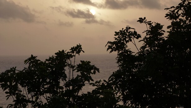 Une vue sur la mer, avec un ciel nuageux et des silhouettes d'arbres au premier plan.