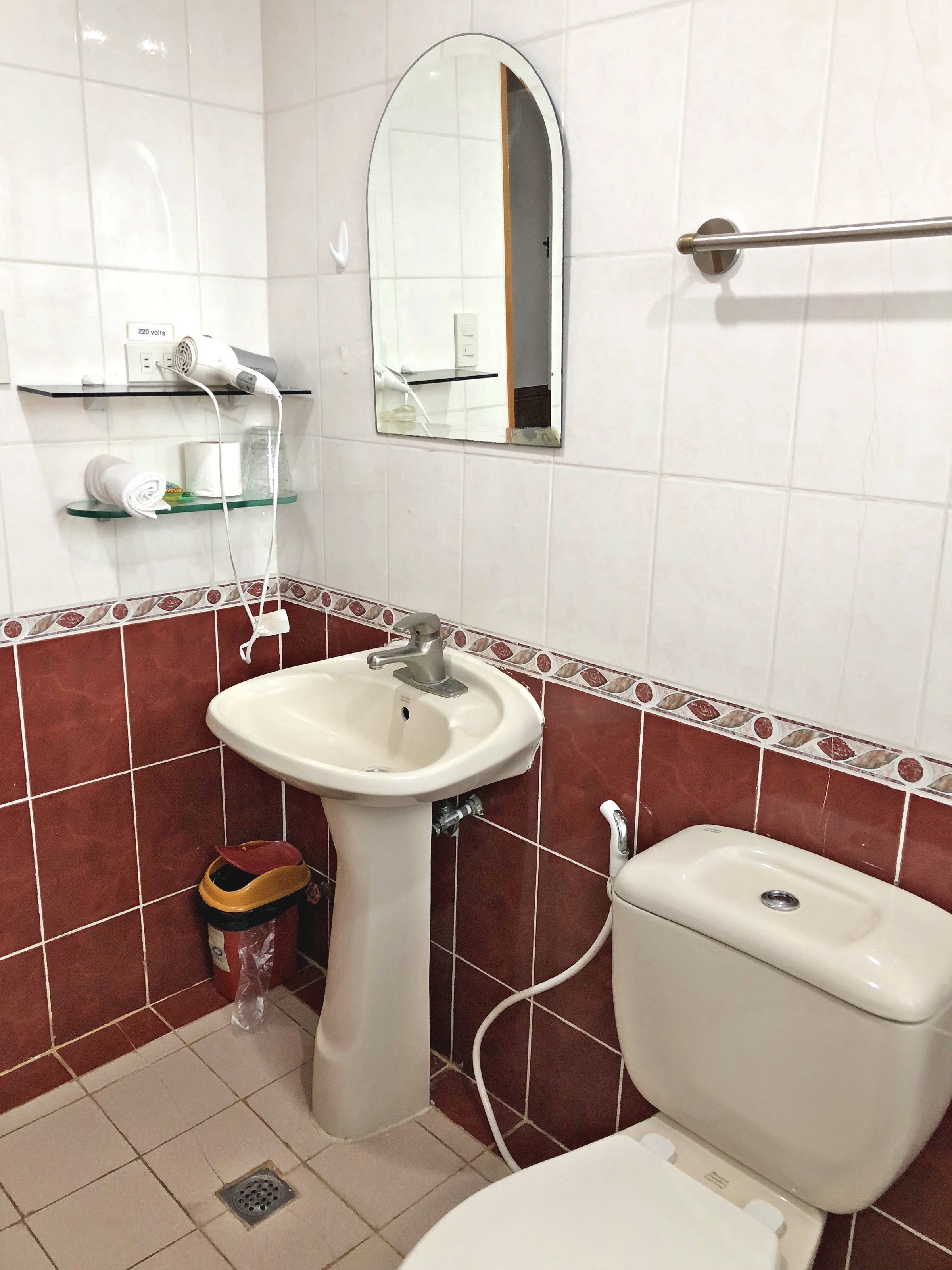 A bathroom with a pedestal sink, a toilet, a mirror, and a hairdryer on a shelf.