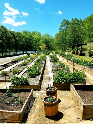 Parco della struttura