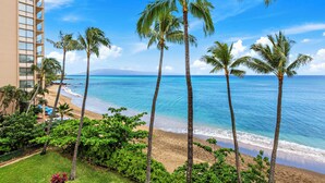 A beachfront hotel with palm trees, a pool, and ocean views.