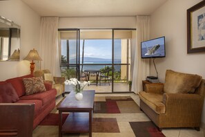 تلفزيون، مشغل دي في دي