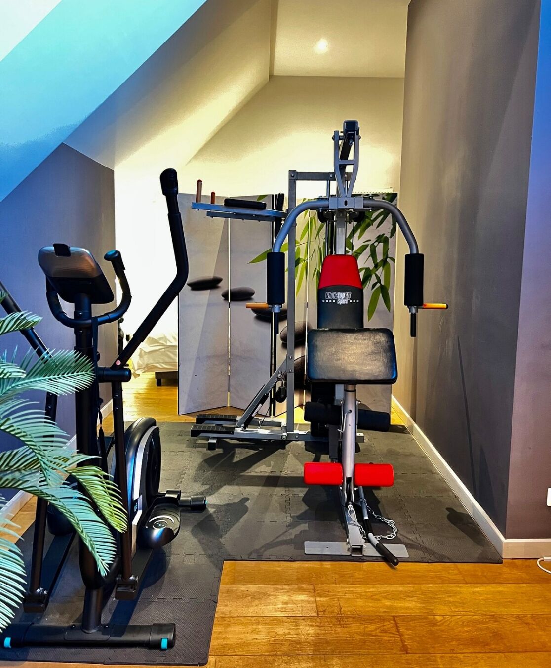 Salle de remise en forme