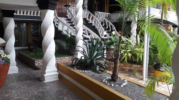 Una majestuosa escalera con barandillas blancas, rodeada de exuberante follaje y plantas decorativas.