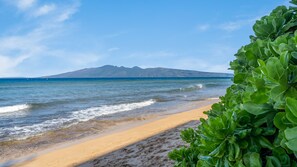 A beach with a mountain in the background and green foliage in the foreground.