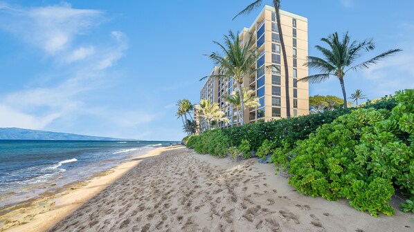 Un hôtel situé en bord de mer, avec un sentier de sable menant à l’océan, des palmiers et une vue dégagée sur la mer.