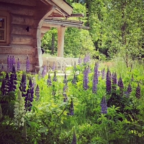 Beautiful luxury log cabin. Two private terrasses. Open fireplace. Pet friendly