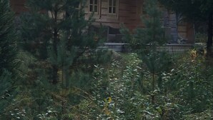 Un chalet rustique avec une cheminée en pierre, entouré d’une forêt dense.